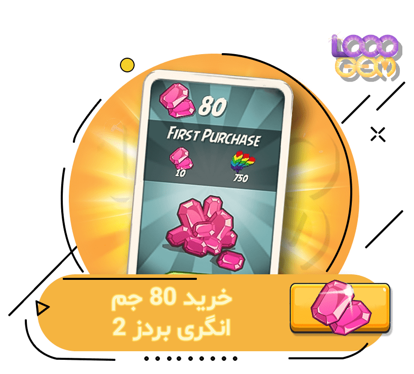 80 جم انگری بردز 2